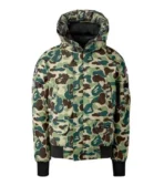 Bape × Canada Goose Jacket - Green